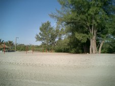 Enlarge photo 58