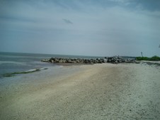 Enlarge photo 43