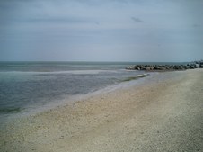 Enlarge photo 45