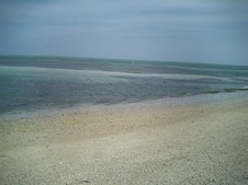 Enlarge photo 46