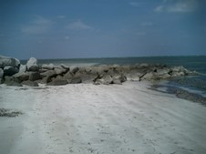 Enlarge photo 47