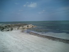 Enlarge photo 48