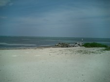 Enlarge photo 53