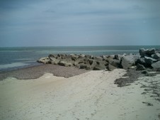 Enlarge photo 35