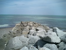 Enlarge photo 37