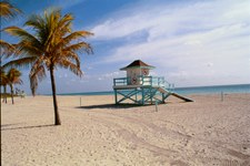 Enlarge photo 56
