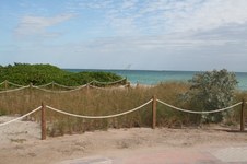 Enlarge photo 145