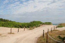 Enlarge photo 146