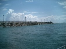 Enlarge photo 64