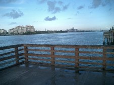 Enlarge photo 65
