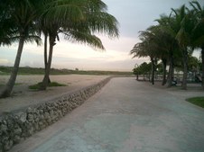 Enlarge photo 67