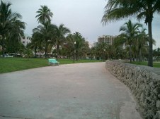 Enlarge photo 68