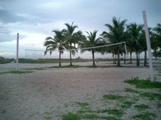 Enlarge photo 75