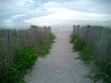 Enlarge photo 76