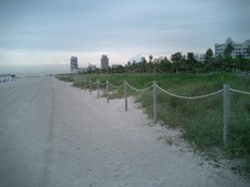 Enlarge photo 81