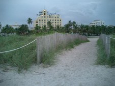 Enlarge photo 82