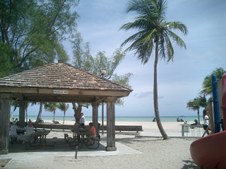 Enlarge photo 17