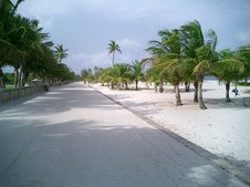 Enlarge photo 35