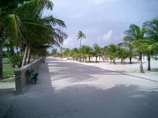 Enlarge photo 34