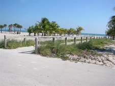 Enlarge photo 40