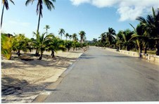 Enlarge photo 37