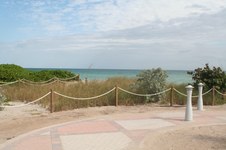 Enlarge photo 105