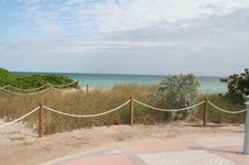 Enlarge photo 139