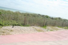 Enlarge photo 135