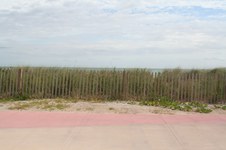 Enlarge photo 106