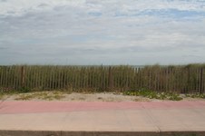 Enlarge photo 121