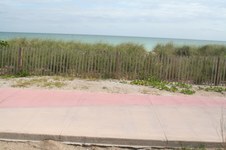 Enlarge photo 141