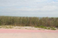 Enlarge photo 122