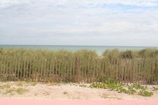 Enlarge photo 143