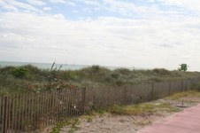 Enlarge photo 137