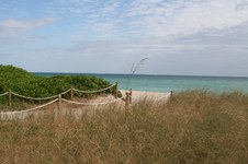 Enlarge photo 109