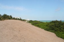 Enlarge photo 113