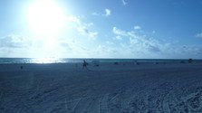 Enlarge photo 88