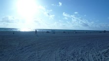 Enlarge photo 89