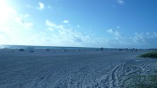 Enlarge photo 90