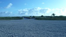 Enlarge photo 102