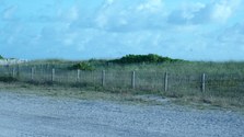 Enlarge photo 99
