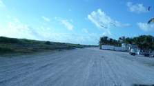 Enlarge photo 98