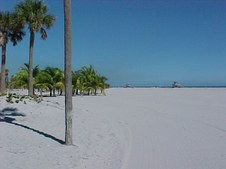 Enlarge photo 43