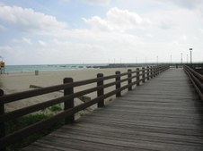 Enlarge photo 61