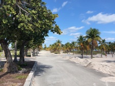 Enlarge photo 43