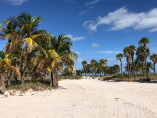 Enlarge photo 19