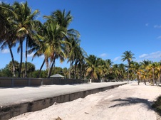 Enlarge photo 31