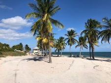 Enlarge photo 44