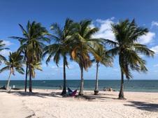 Enlarge photo 46