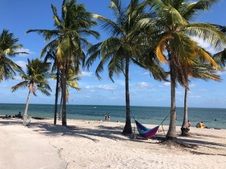 Enlarge photo 47